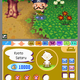 Animal Crossing: Wild World.